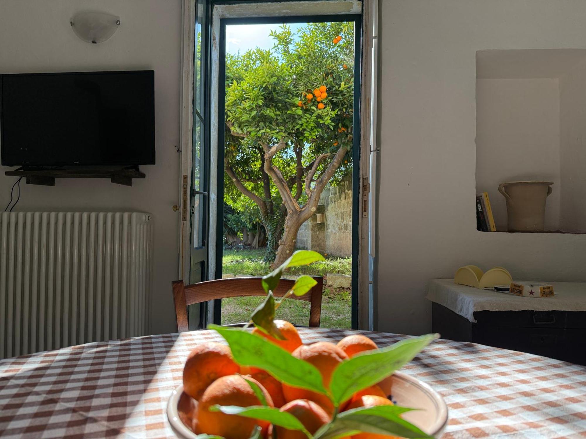Residenza Storica Parco Lanoce Apartment Поджардо Екстериор снимка